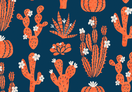 Cactos ao luar | Jardim do Sertão