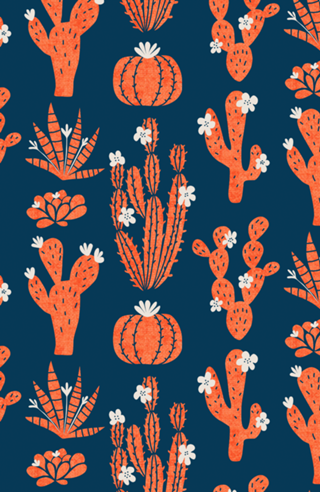 Cactos ao luar | Jardim do Sertão