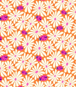 Margaridas e Joaninhas | Pink e Laranja