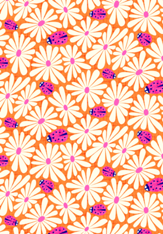 Margaridas e Joaninhas | Pink e Laranja