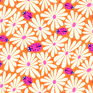 Margaridas e Joaninhas | Pink e Laranja