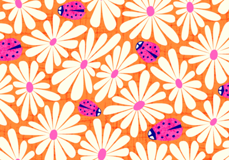 Margaridas e Joaninhas | Pink e Laranja