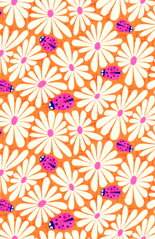 Margaridas e Joaninhas | Pink e Laranja