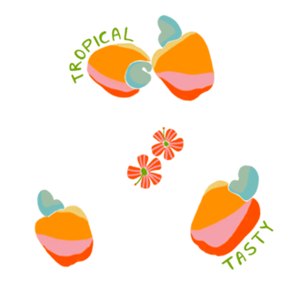 Caju Tropical | Laranja Rosa e Bege