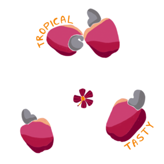 Flor de Caju | Magenta