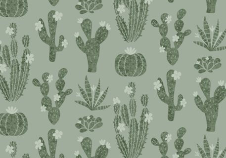 Jardim de Cactos | Tons de verde