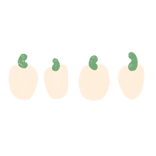 Cajus