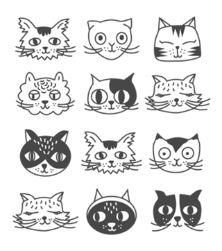 Cats Gray