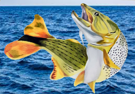 Peixe Dourado