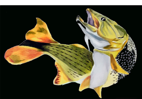 Peixe Dourado com fundo preto