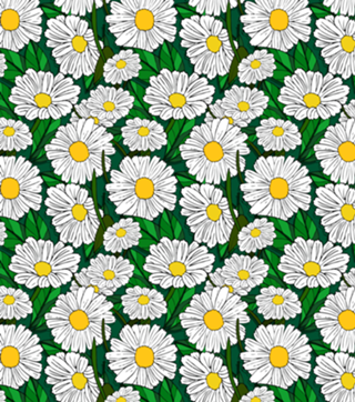 Margaridas
