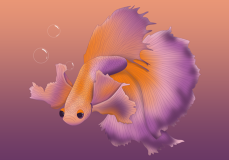 Peixinho betta