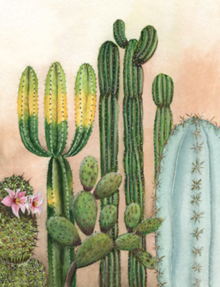 Cactus aquarela em tons pasteis