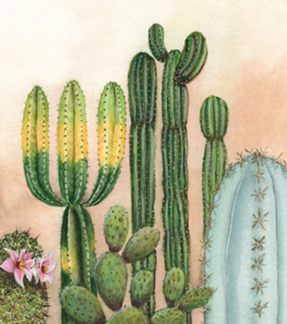 Cactus aquarela em tons pasteis