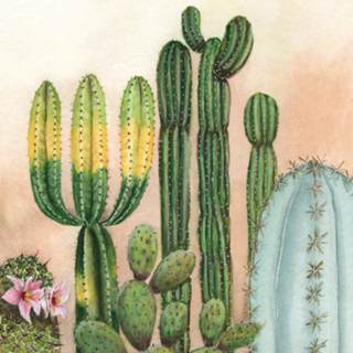 Cactus aquarela em tons pasteis
