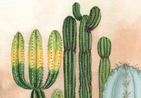 Cactus aquarela em tons pasteis