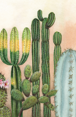 Cactus aquarela em tons pasteis