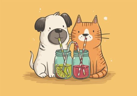 Gato e cachorro tomando suco, cat and doglovers