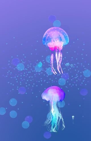 Jellyfish