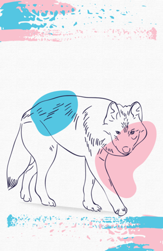 The wolf