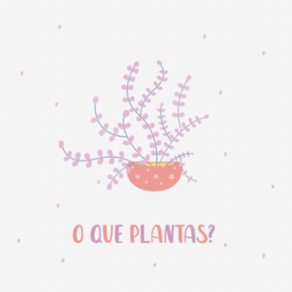 O que plantas?