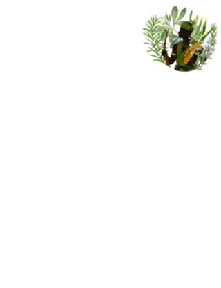 Oxossi