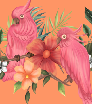 Passros Rosa fundo laranja