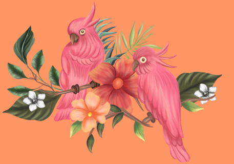 Passros Rosa fundo laranja