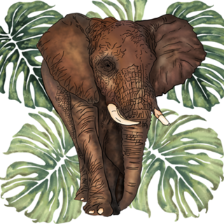 ELEFANTE