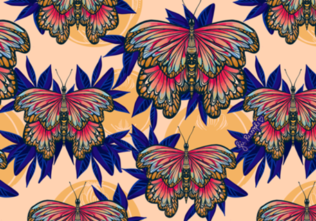 Borboleta ilustrada