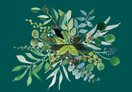 Herbarium II