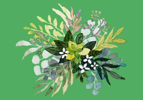 Herbarium III