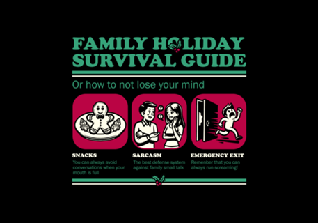 Family Holiday Survival Guide