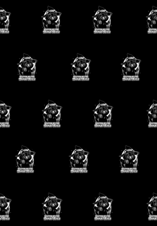Black Cat Dark Magic - Funny Dork Pet