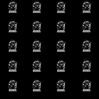 Black Cat Dark Magic - Funny Dork Pet