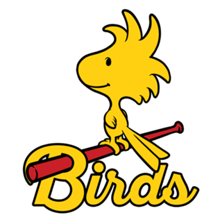 Comic Yellow Bird Baseball - Vintage Comic Dog