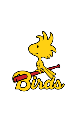 Comic Yellow Bird Baseball - Vintage Comic Dog