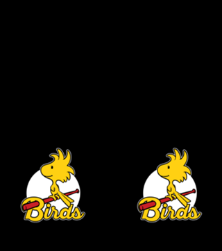 Comic Yellow Bird Baseball - Vintage Comic Dog