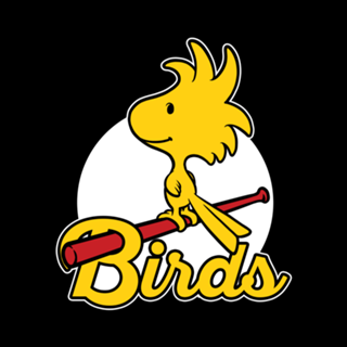 Comic Yellow Bird Baseball - Vintage Comic Dog