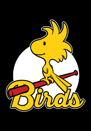 Comic Yellow Bird Baseball - Vintage Comic Dog