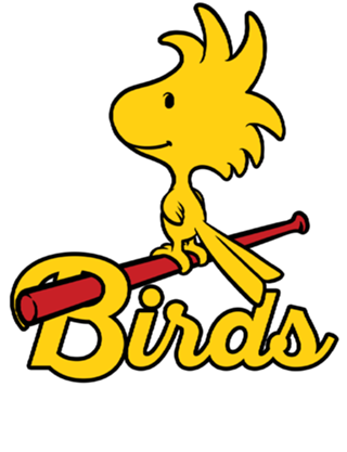 Comic Yellow Bird Baseball - Vintage Comic Dog