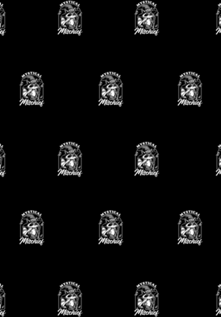 Wizard Magical Raccoon - Fantasy RPG Wizard