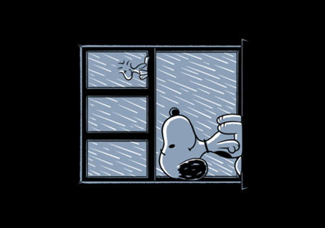 Rainy Day Beagle