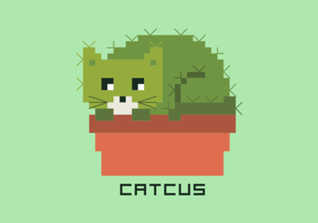 Catcus
