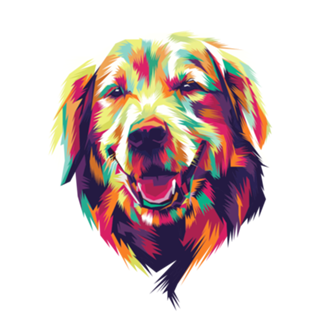 Colorful Dog