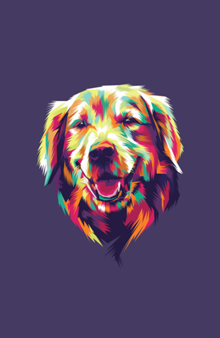 Colorful Dog