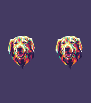 Colorful Dog