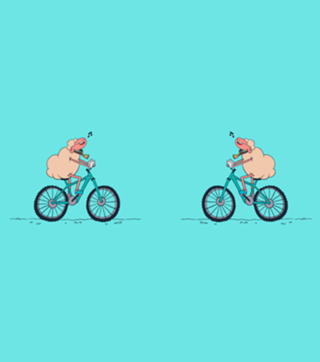Biker Sheep