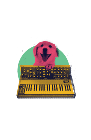 Dogs and Music