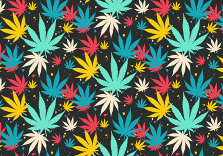 Colorful Cannabis